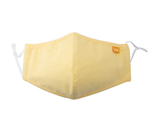 Spring Notion �ė��p�\ �􂦂� ���n �ȕz �t�F�C�X�}�X�N �C�G���[ L