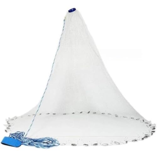 OGXN  Ƃ 蓊  1.2m-3.6m C  r ߂ ނ eq S҉ (1.2m,̉)