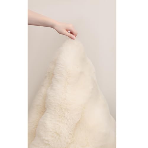 BieChiPan [gO ~ NbV  [g O lHє }bg \t@[ J[ybg t@[ 50*50cm tFCN[g tFCN 킢  ӂӂ ӂӂ q ItBXp rO J[01 k