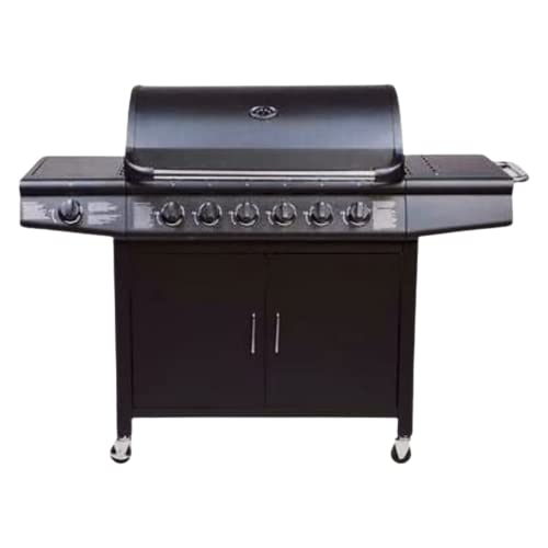 Top 8 Best Gas BBQ Guide Detailed Reviews & Comparisons Pyracantha