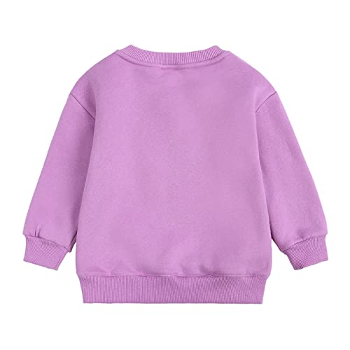 Toddler Kids Baby Boy Girl Long Sleeve Sweatshirt Casual Shirt Thin Pullover Infant Crewneck Sport Tops Casual Blouse4