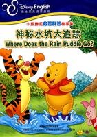 Where Does the Rain Puddle Go?