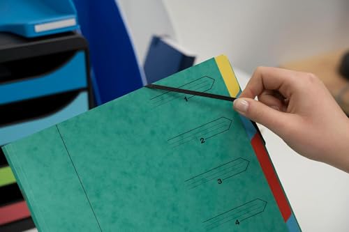 Trieur 12 compartiments Exacompta carton de 8 chemises de classement A4 à élastiques - 4