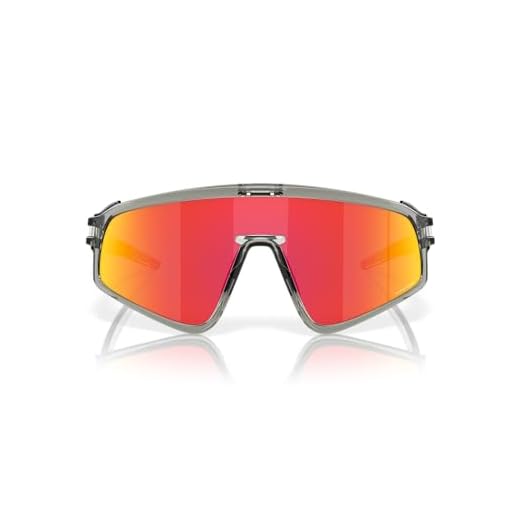 Oakley Panel lateral, Tinta gris, Talla única