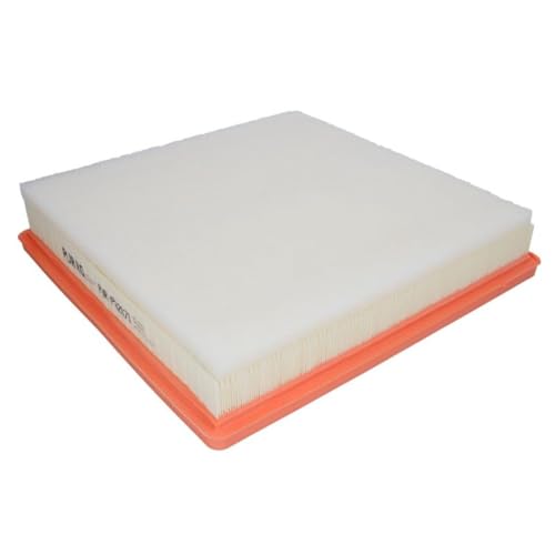 PURRO PUR-PA2071 Filtro aria motore Cartuccia filtro
