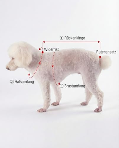Canisphere Hundebademantel (Größe XS, kleine Hunde, blau) - Saugstarker Bademantel Hund aus Mikrofaser - Schnelltrocknend & Flauschig - Hunde Bademantel für kleine Hunde