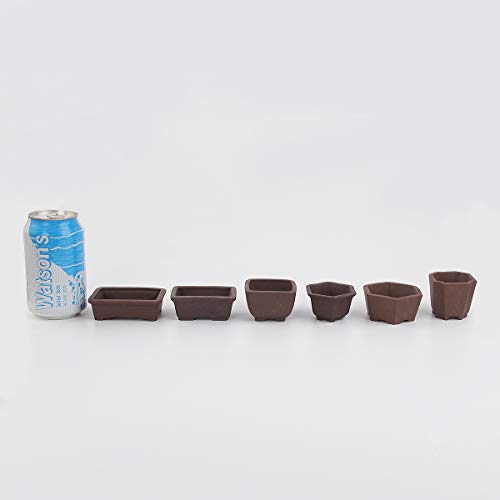 Happy Bonsai Zisha Mini-Bonsai-Töpfe, 5,1 cm breit, 6 Stück - Image 5