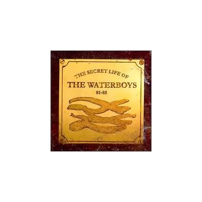 The Secret Life of The Waterboys 81-85