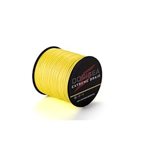 DORISEA Extreme Vlecht 100% Pe 300 m/328 Yards Gevlochten Vislijn 6-500 lbs Test Vissen Draad Vissen String-Slijtvast Ongelooflijke Superline Nul Stretch Kleine Diameter