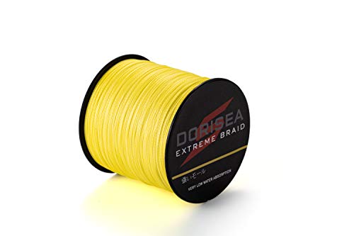 DORISEA Extreme Vlecht 100% Pe 300 m/328 Yards Gevlochten Vislijn 6-500 lbs Test Vissen Draad Vissen String-Slijtvast Ongelooflijke Superline Nul Stretch Kleine Diameter