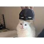 Cat Bat Cosplay Hat,Mask for Halloween Cosplay,Handmade Pet Supplies Cat Hat Bat Cat Mask - Image 4