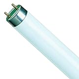 T8 Leuchtstoffröhre mit Sockel G13