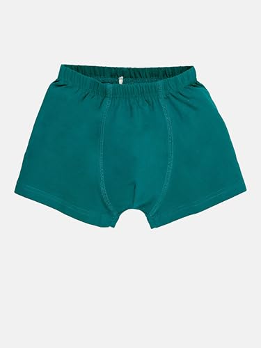 Image of KiddoPanti Boys Boxer Shorts Pack of 3 | Soft Cotton-Lycra Blend | Comfortable Fit with Bio Wash for All-Day Comfort | Kids Briefs