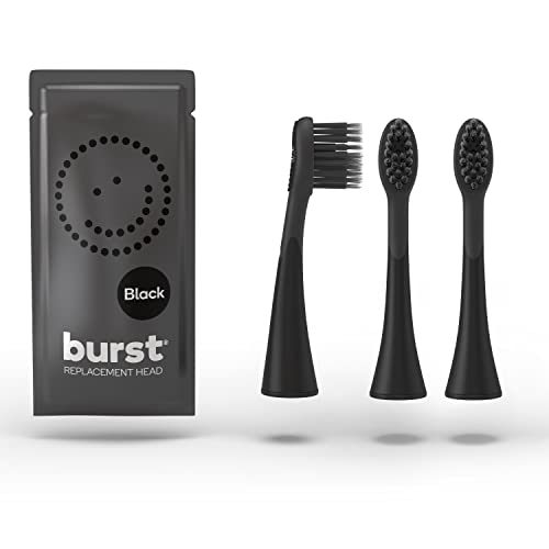 Best Ordo Toothbrush Heads in 2022 What You Need To Know Before You