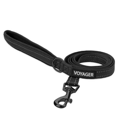 Best Pet Supplies Voyager Reflective Dog Leash or Collar with Neoprene Handle, for Small, Medium...