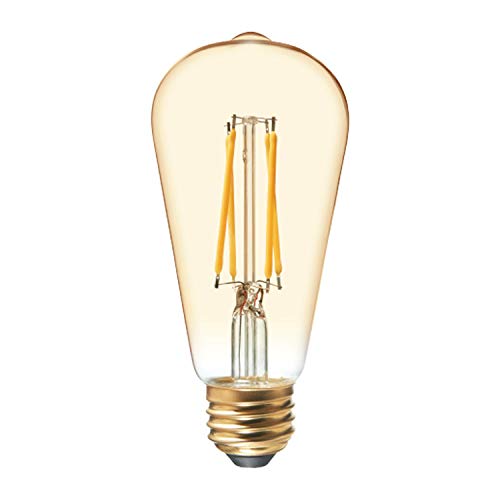GE LED Vintage Light Bulb, ST19 Amber Glass LED Edison Bulb (25 Watt Replacement Dimmable LED Light Bulbs), 200 Lumen, Medium Base Light Bulbs, 1-Pack E26 Edison Bulb