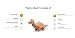 Steiff 087837 - Original Plüschtier Bronko Brontosaurus, Soft Cuddly Friends Kuscheltier ca. 28 cm, Markenplüsch mit Knopf im Ohr, Schmusefreund für Babys 0m+, dunkelorange-Petrol