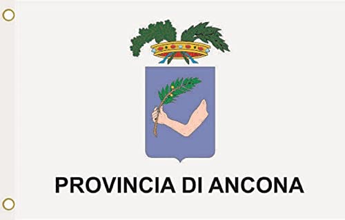 Cittadini Stranieri 2024 - provincia di Belluno (BL