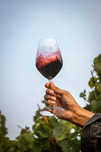 Delheim Pinotage - Rotwein trocken aus Südafrika Stellenbosch (1 x 0.75 l)