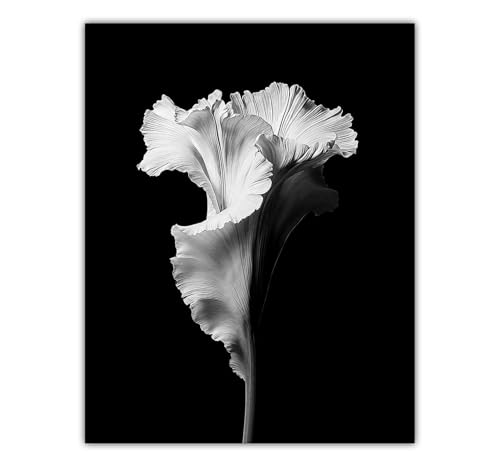 Black and White Flower Art 28x36 Unframed Poster, Minimalist Floral