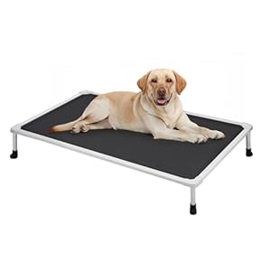 Veehoo Cooling Outdoor Elevated Dog Bed – Chewproof Raised Dog Cots Bed for Large Dogs, Silver Metal Frame, Washable Pet Platform with Non-Slip Feet for Indoor and Outdoor, 107 x 76 cm, Black