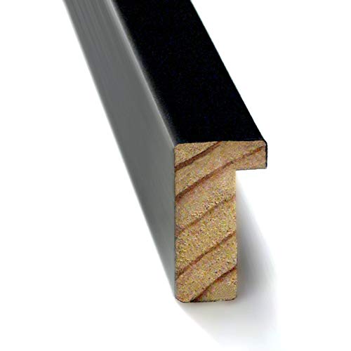 Framed Art Print, 'Le Chien (The Dog)' By Pablo Picasso: Outer Size 15 X 13" #TOP1