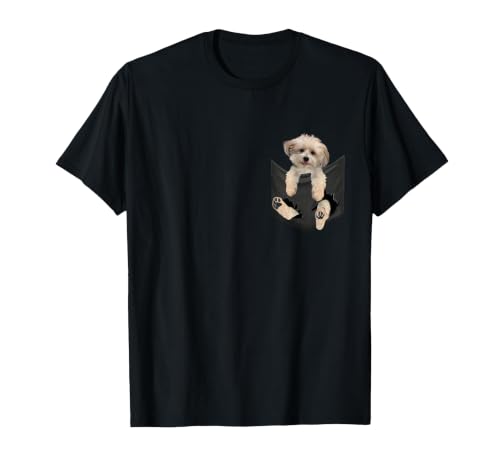 Havanese Dog in Pocket, Havanezer Puppy Peeking T-Shirt, Men, Black, 3X-Large