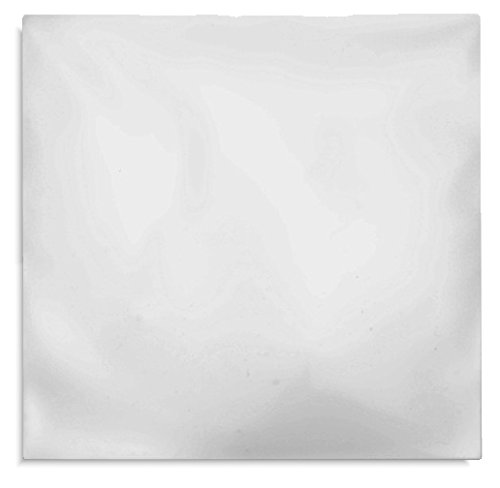 1000-Pak Clear CPP Plastic Sleeves Without Flap