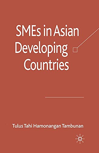 SMEs in Asian Developing Countries view 2