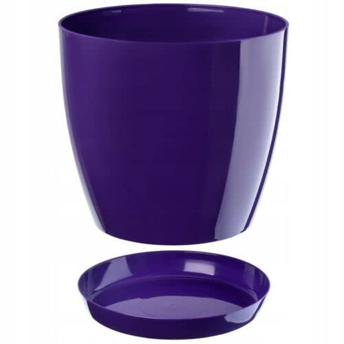 B2C Plant Pot Flower 20 Colours 9 sizes Gloss Plastic Plant Pots Planter Saucer Tray Deco (14 cm/ 5.5 inch, Purple)