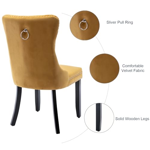 MZDOO Velvet Dining Chairs Set of 2, Tufted Upholstered Dining Room Chairs with Back Ring Pull, Nailhead Trim and Solid Wood Legs, Modern Dining Chairs for Dining Room, Kitchen(Gold)