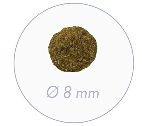 Bosch HPC Mini Senior | Hundetrockenfutter für ältere Hunde Kleiner Rassen (bis 15 kg) | 1 x 1 kg (Packung mit 2)