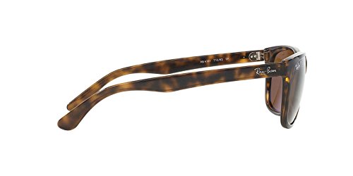 Ray-Ban RB4181 Highstreet Sunglasses3