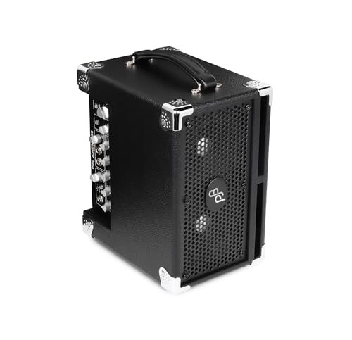 Phil Jones Bass BG-120 Bass Cub Pro 2 x 5-inch 120-watt Bass Combo Amplifier - Black