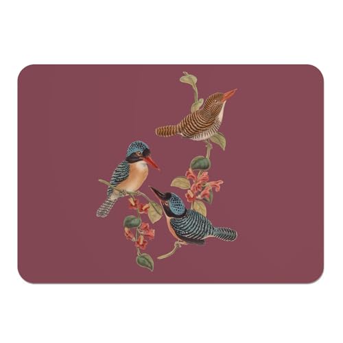 Napperons en liège de qualité supérieure illustration oiseaux 4pcs