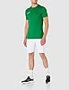 NIKE Men's M Nk Dry Park Vii Jsy T shirt, Pine Green/White, L UK #4