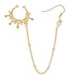 Nasenring für einzelnes Piercing Goldspirale U-förmige Fächerkette Nasenring für Körperpiercing Legierungsnasenring für Frauen Mädchen Nasenring Segmentring (Gold, One Size)