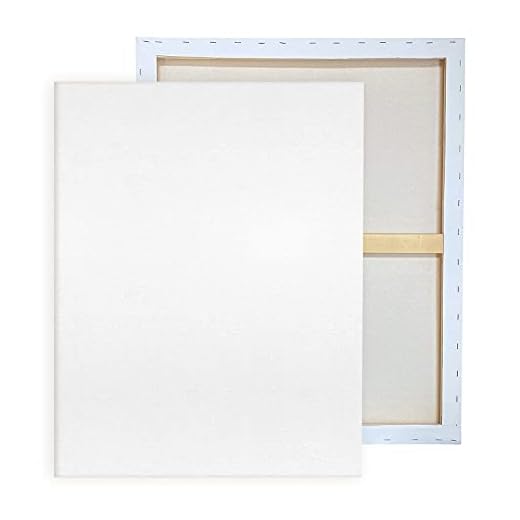 Pre Stretched Canvases for Painting 24x36" 2 Pack Large Blank Canvas Boards for Acrylic Pouring and Oil Painting, 100% Cotton, 5-Time Gesso Primed