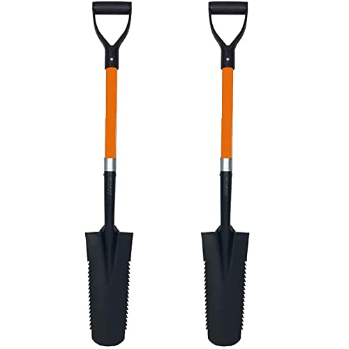 What ethnicity has shovel teeth