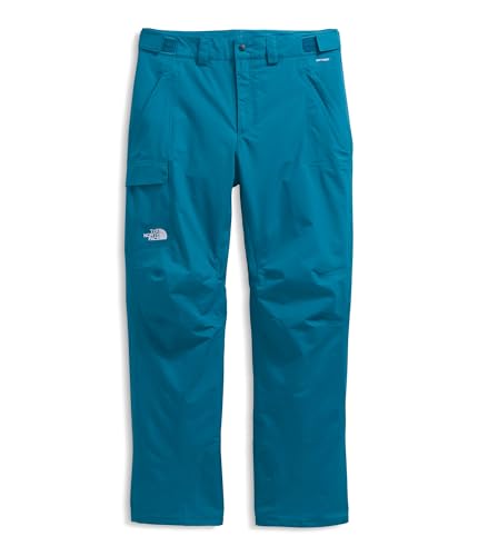 Image of THE NORTH FACE Men's Freedom Snow Pant - Long