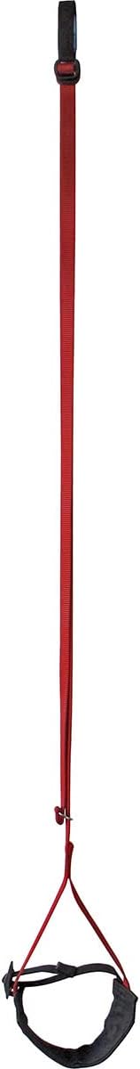 Metolius Big Wall Rock Climbing Easy Aider