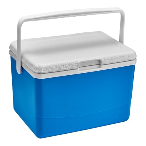 Refroidisseur isolé portatif 5L glacière camping petite taille