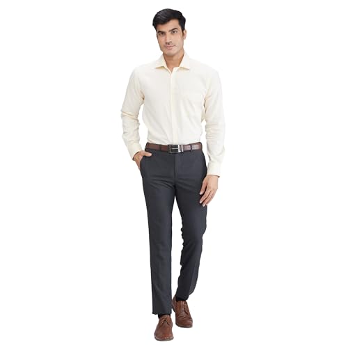 Image of Raymond Men's Slim Fit Solid Pattern Poly Viscose Blend Flat Front Formal Trouser