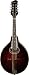 Eastman MD504 Sitka/Maple A-Style Oval Hole Mandolin Classic Finish