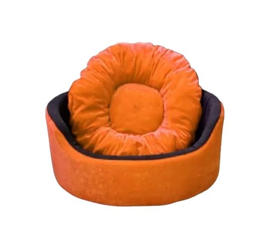 Cutepups Round Dog Bed,Round Foam Dog Bed,Small Dog Bed,(Small Size Orange and Black) (B0CQTQT34D) Amazon Price History, Amazon Price Tracker