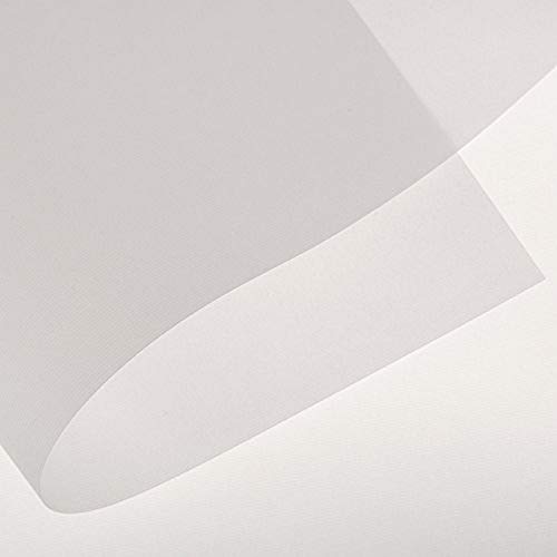 Canson Foundation Tracing Paper Roll for Ink, Pencil and Markers, 25 Pound, 24 Inch x 10 Yard Roll