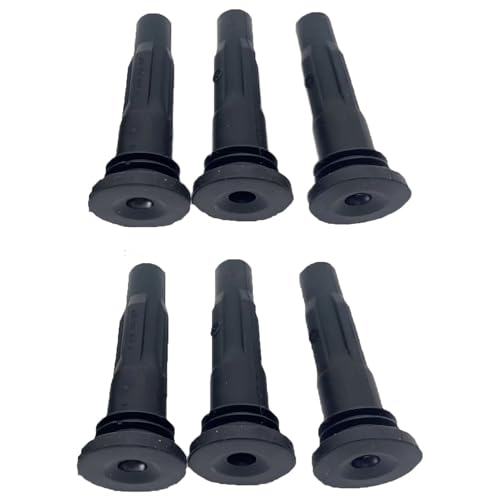 �I�[�_�΃R�C������ Compatible With Trumpchi 1.3T For MG 1.5 For Roewe For RX3 1.6L �J�[�G���W�� �C�O�j�b�V�����R�C�� F01R00A113 F01R10A256 10239858(6pcs)