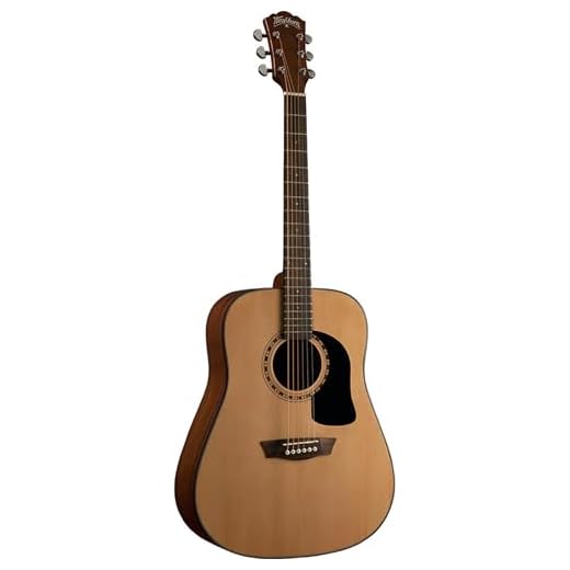 Guitarra Washburn Folk Apprentice D5 natural
