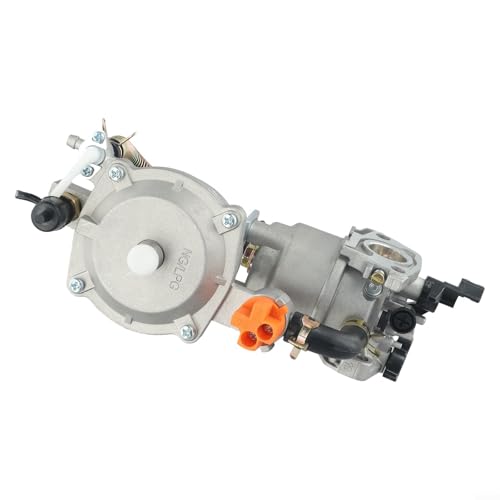 Besttoolifes LPG168 - Kit de carburador de combustible dual para generadores de 2-3 kW con motor de 168F/170F, gas natural y para conversión para 100153 100165 100296