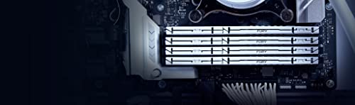 Image of Kingston FURY Beast White 64GB (4x16GB) 6000MT /s CL40 DDR5 XMP DIMM | Overclocking | Intel XMP 3.0 | Kit of 4 | KF560C40BWK4-64
